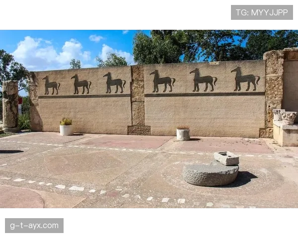 突尼斯迦太基之鹰新赛季启航，重燃胜利激情引关注