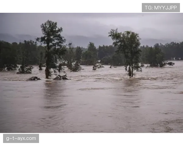 亚特兰大中路透水事故引关注 专家解析成因与应对策略